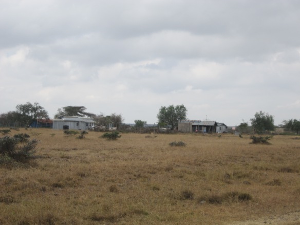 Maasai homestead in the research area